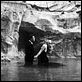 A Doce Vida : foto Anita Ekberg, Marcello Mastroianni
