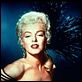 O Rio das Almas Perdidas : foto Marilyn Monroe