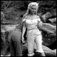 O Rio das Almas Perdidas : foto Marilyn Monroe