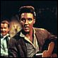 Estrela de Fogo : foto Elvis Presley
