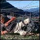 Fugindo do Inferno : foto Steve McQueen