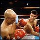 Por Uma Boa Briga : foto Antonio Banderas, Woody Harrelson