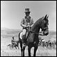 O Leopardo : foto Alain Delon