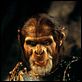 Planeta dos Macacos : foto Tim Roth