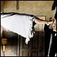 O Exorcista : foto Linda Blair, Max von Sydow