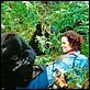 Nas Montanhas dos Gorilas : foto Sigourney Weaver