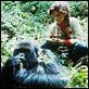 Nas Montanhas dos Gorilas : foto Sigourney Weaver