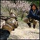 O Reino Proibido : foto Jackie Chan