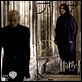 Harry Potter e o Enigma do Príncipe : foto Alan Rickman, Tom Felton