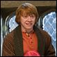 Harry Potter e o Enigma do Príncipe : foto Rupert Grint