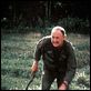 Bat 21 - Missão no Inferno : foto Gene Hackman