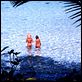 A Lagoa Azul : foto Brooke Shields, Christopher Atkins
