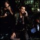 Nico - Acima da Lei : foto Steven Seagal