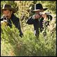 Appaloosa - Uma Cidade Sem Lei : foto Viggo Mortensen