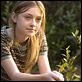 A Vida Secreta das Abelhas : foto Dakota Fanning