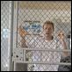 O Golpista do Ano : foto Ewan McGregor