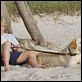 Marley & Eu : foto Owen Wilson
