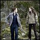 Crepúsculo : foto Kristen Stewart, Robert Pattinson