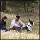 Sete Vidas : foto Rosario Dawson, Will Smith