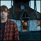 Harry Potter e as Relíquias da Morte - Parte 1 : foto Rupert Grint