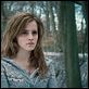 Harry Potter e as Relíquias da Morte - Parte 1 : foto Emma Watson
