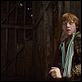 Harry Potter e as Relíquias da Morte - Parte 1 : foto Rupert Grint