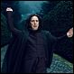 Harry Potter e as Relíquias da Morte - Parte 1 : foto Alan Rickman