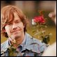 Um Olhar do Paraíso : foto Mark Wahlberg