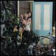 A Árvore : foto Charlotte Gainsbourg