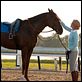 Secretariat - Uma História Impossível : foto Diane Lane