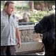 O Zelador Animal : foto Kevin James