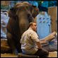 O Zelador Animal : foto Kevin James