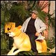 O Zelador Animal : foto Kevin James
