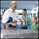 Winter, o Golfinho : foto Harry Connick Jr, Morgan Freeman, Nathan Gamble