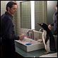 Os Pinguins do Papai : foto Jim Carrey