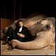 Água para Elefantes : foto Robert Pattinson