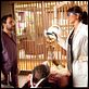 Quero Matar Meu Chefe : foto Charlie Day, Jennifer Aniston