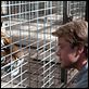 Compramos um Zoológico : foto Matt Damon
