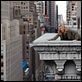 À Beira do Abismo : foto Elizabeth Banks, Jamie Bell