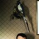 Psicose : foto Gus Van Sant, Vince Vaughn