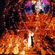 Moulin Rouge - Amor em Vermelho : foto Baz Luhrmann