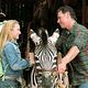 Deu Zebra! : foto Bruce Greenwood, Hayden Panettiere