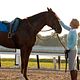 Secretariat - Uma História Impossível : foto Diane Lane