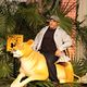 O Zelador Animal : foto Kevin James