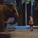 O Zelador Animal : foto Kevin James