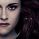 A Saga Crepúsculo: Amanhecer - O Final : poster Bill Condon