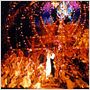 Moulin Rouge - Amor em Vermelho