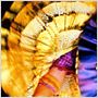 Moulin Rouge - Amor em Vermelho
