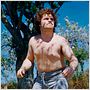 Nacho Libre