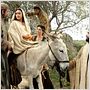 Jesus - A História do Nascimento